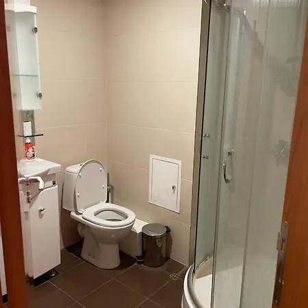2 *